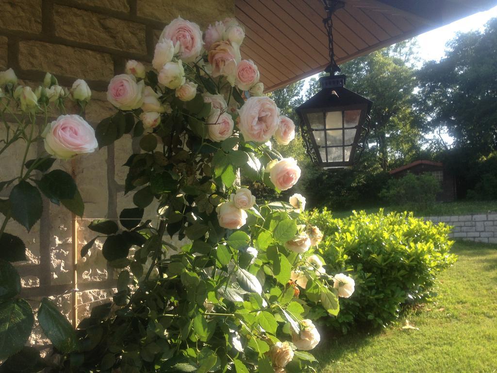 Domaine De La Greze Hotell Murat Eksteriør bilde
