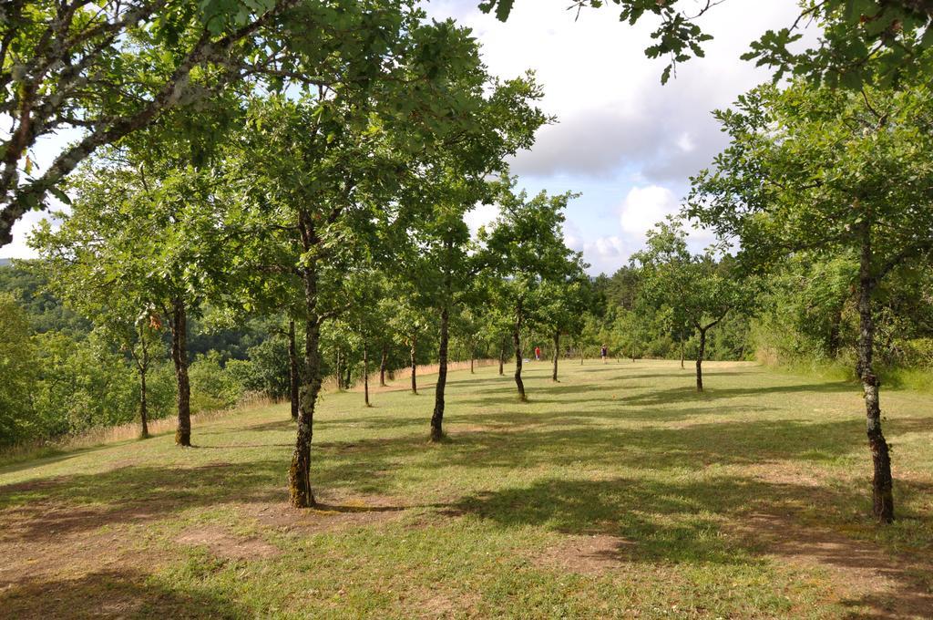 Domaine De La Greze Hotell Murat Eksteriør bilde